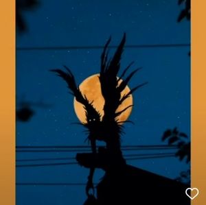 Meet your Posher, Kalia